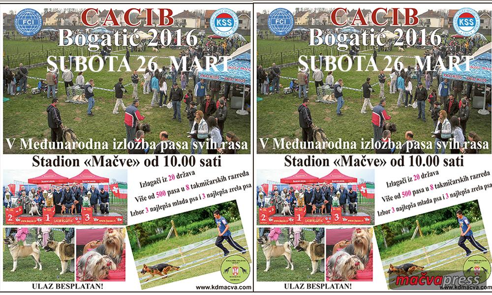 CACIB - Bogatić na kinološkoj mapi sveta - u subotu peti CACIB!