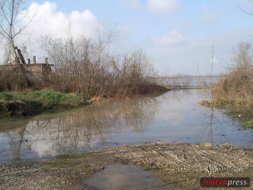 Kod Zicine vikendice - Drina u Crnoj Bari stigla do nasipa, prelila kod "Žićine vikendice" na Vasinom šibu