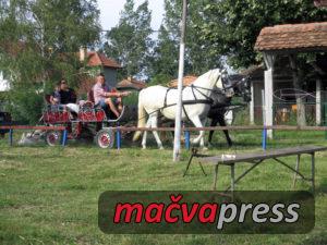 Voznja kocijama uz reku 300x225 - "ИВАЊДАНСКИ ДАНИ" НА ДРИНИ - МАРКО ПЕТРУШИЋ ПОБЕДНИК ВИШЕБОЈА (ФОТО)