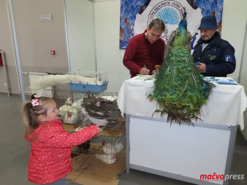 12 840x630 - (ФОТО ГАЛЕРИЈА) ГУЖВА НА САЈМУ ПОЉОПРИВРЕДЕ У БОГАТИЋУ: 80 ИЗЛАГАЧА И ВЕЛИКИ БРОЈ ПОСЕТИЛАЦА