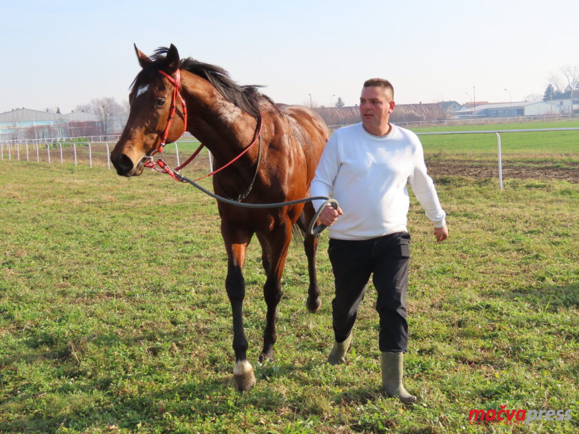 IMG 9403 840x630 - (ФОТО ГАЛЕРИЈА) БОЖИЋНО СЛАВЉЕ НА ХИПОДРОМУ - УЗ ГАЛОПЕРЕ, КУВАНО ВИНО И ЧЕСНИЦУ