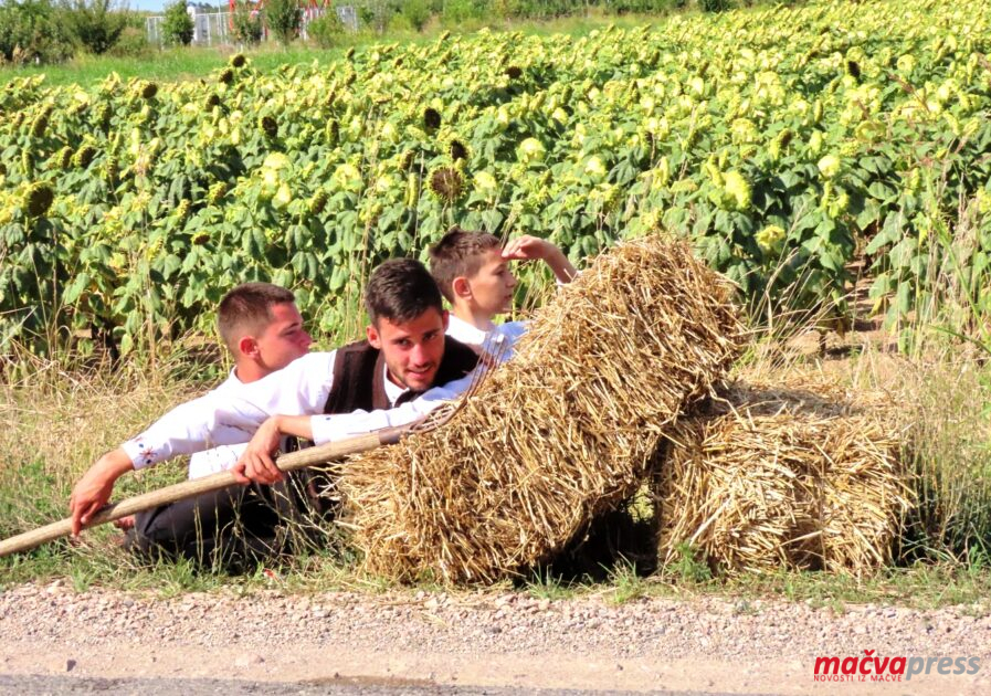 Hajducka busija 897x630 - "ХАЈДУЧКА СВАДБА" - ЛЕПОТА И РАСКОШ СТАРЕ МАЧВЕ